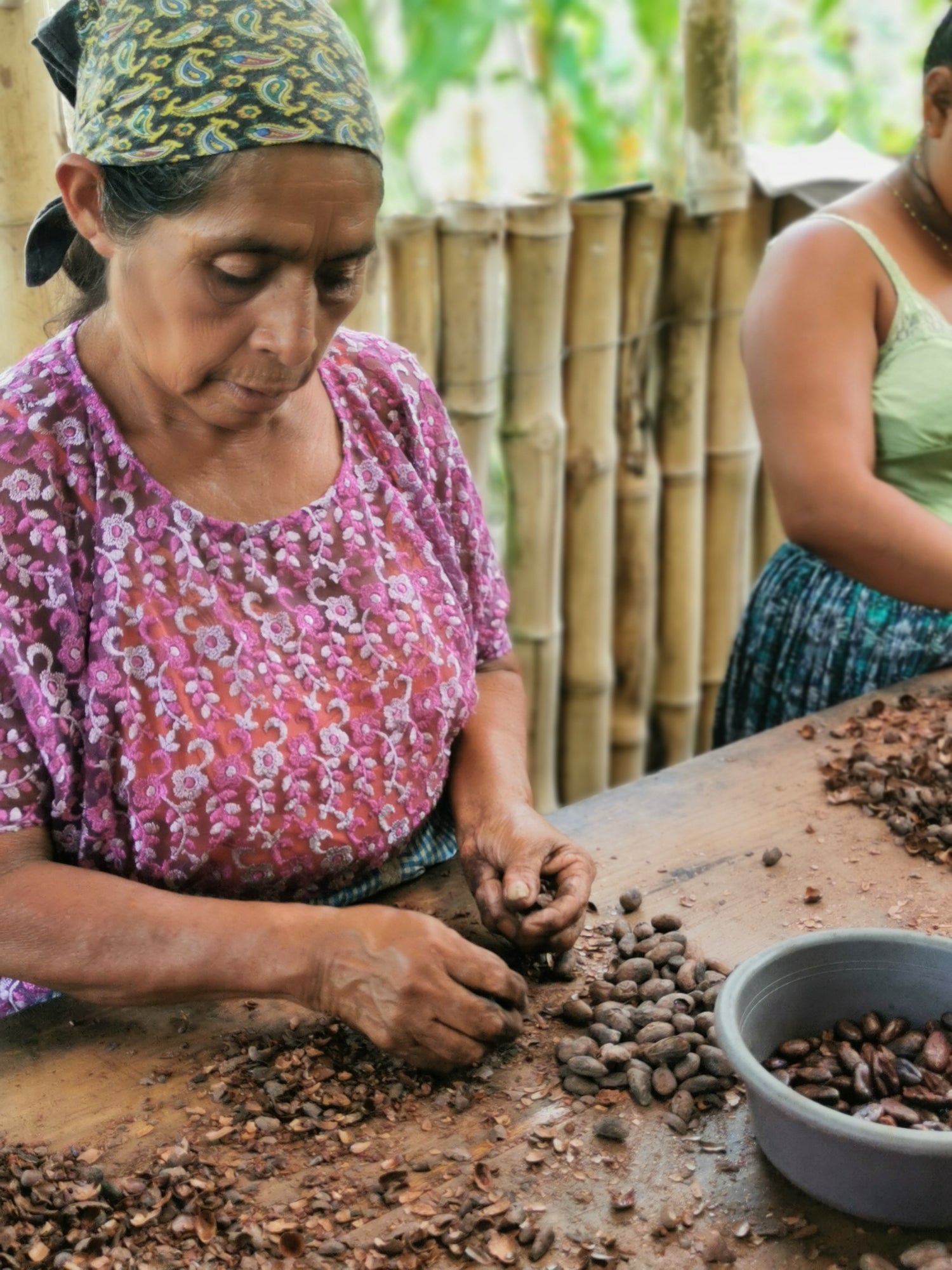 Histoire du Cacao