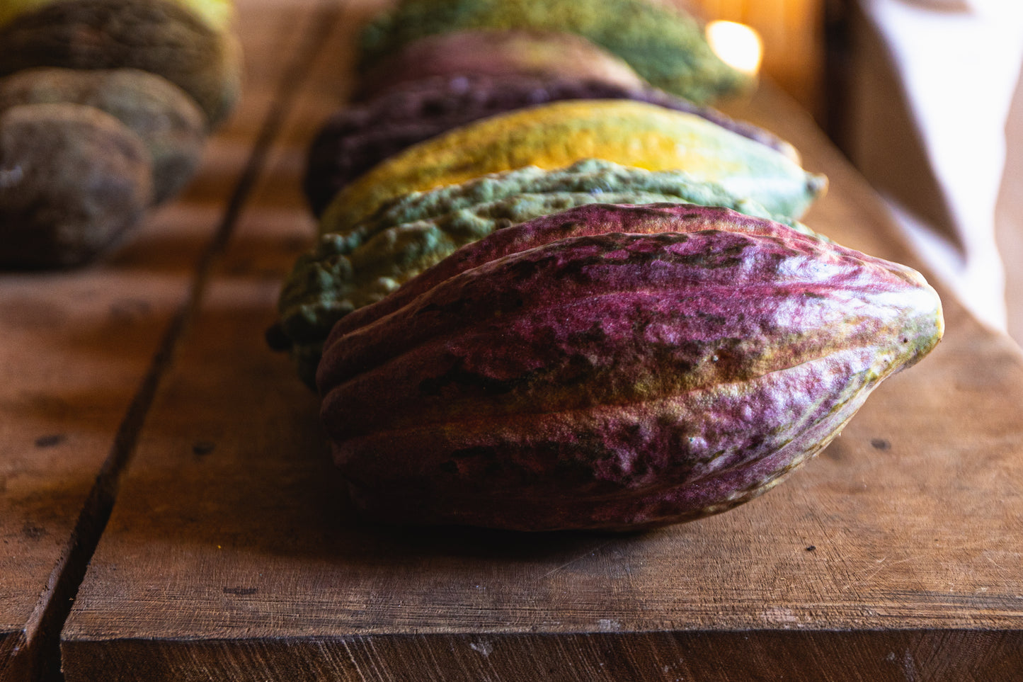 Fève Cacao de Grade Cérémoniel - Salvador