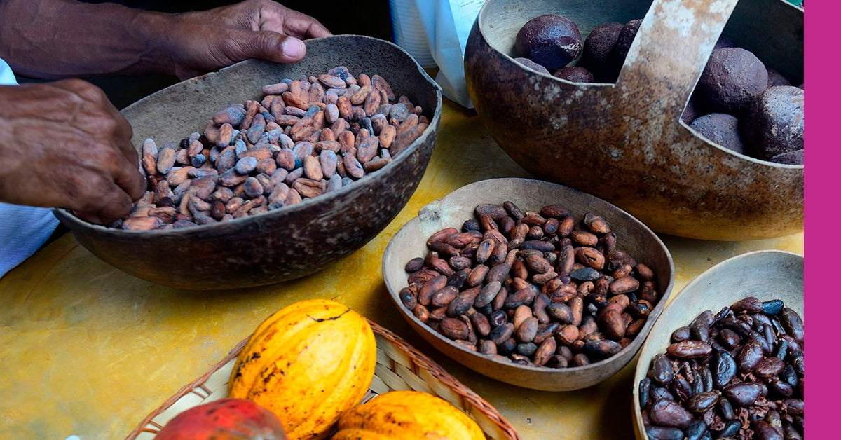Cacao de Grade Cérémoniel - République Dominicaine