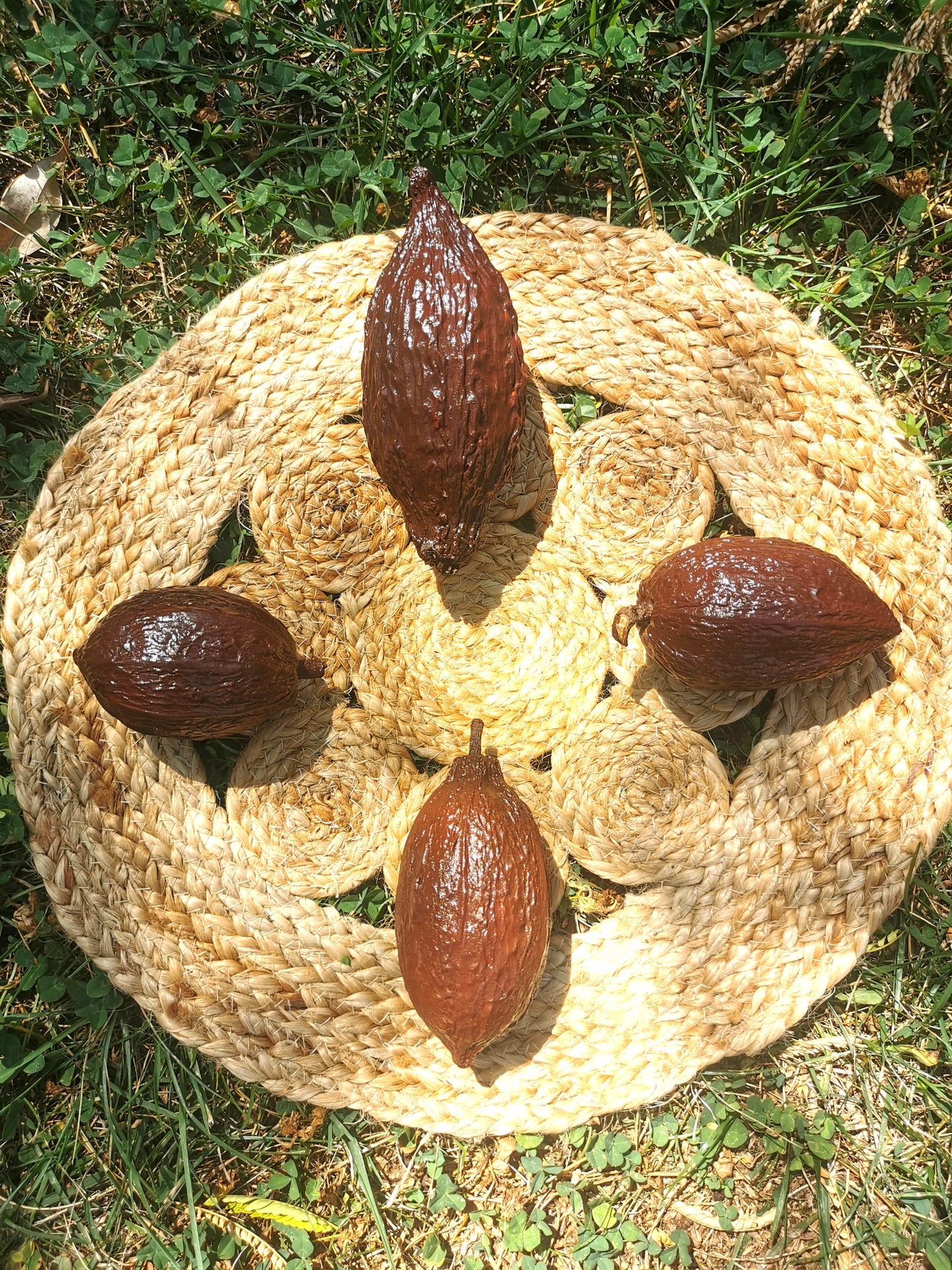 Cabosse