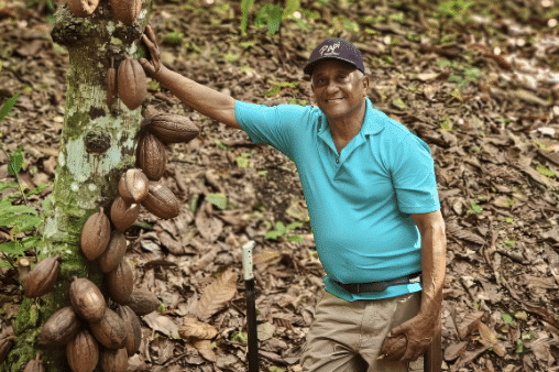 Cacao de Grade Cérémoniel - République Dominicaine