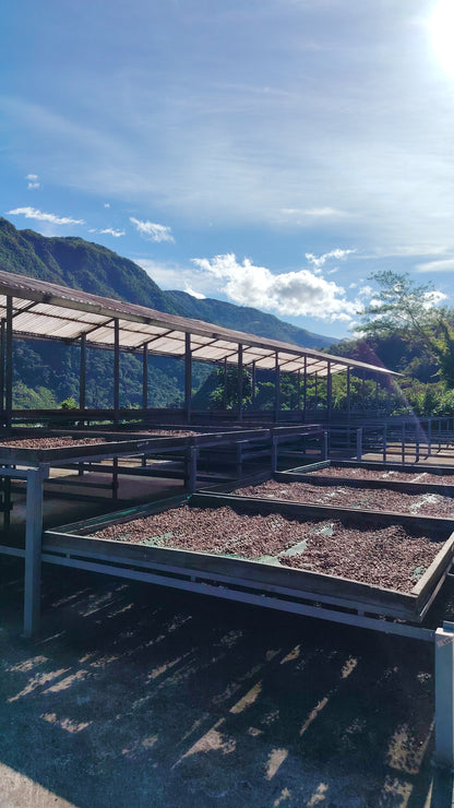 Cacao de Grade Cérémoniel - Pérou "Chuncho"