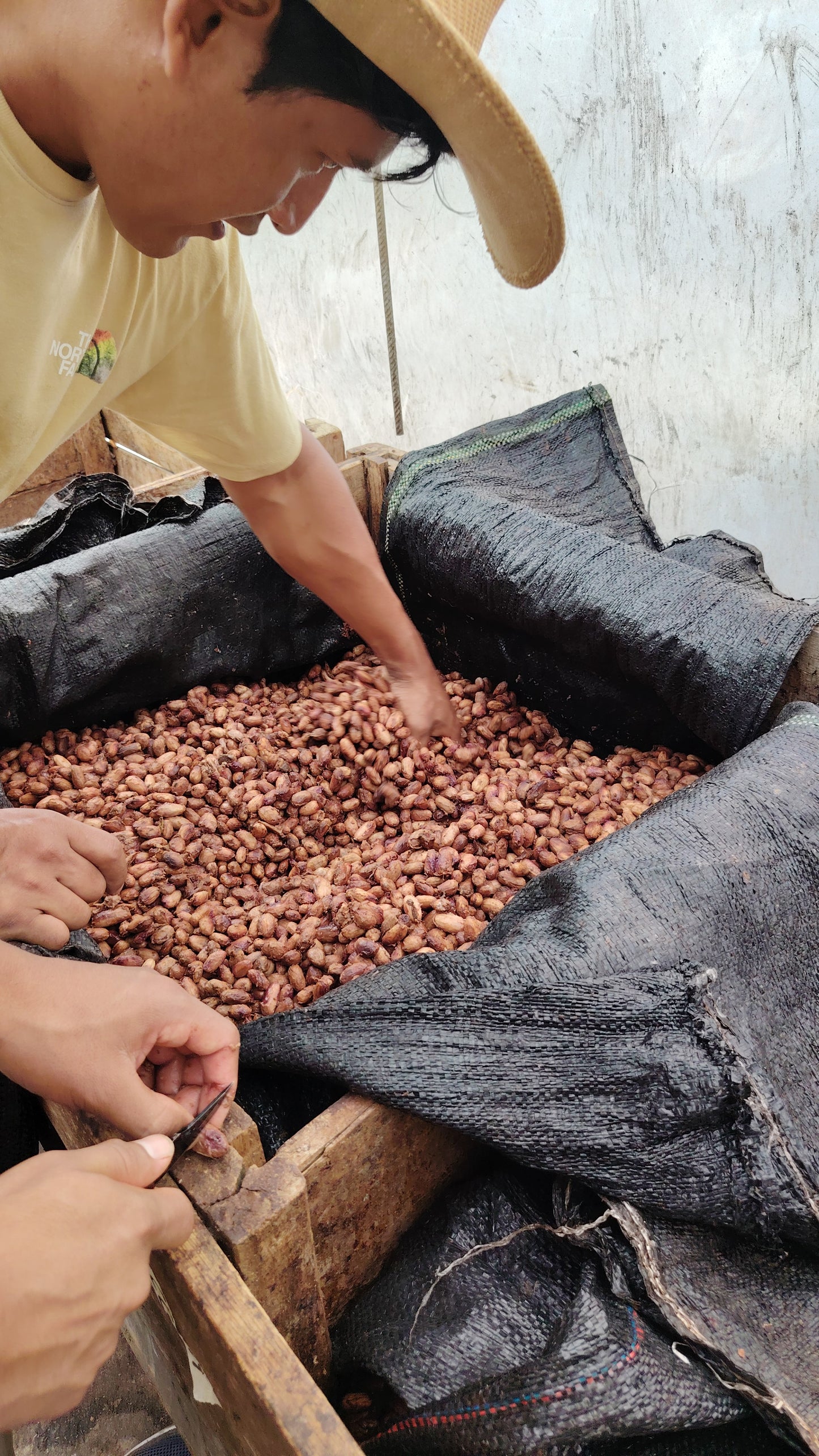 Cacao de Grade Cérémoniel - Pérou "Chuncho"