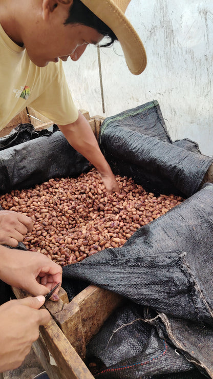 Cacao de Grade Cérémoniel - Pérou "Chuncho"