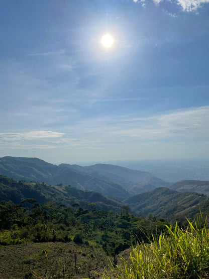 Cacao de Grade Cérémoniel - Colombie