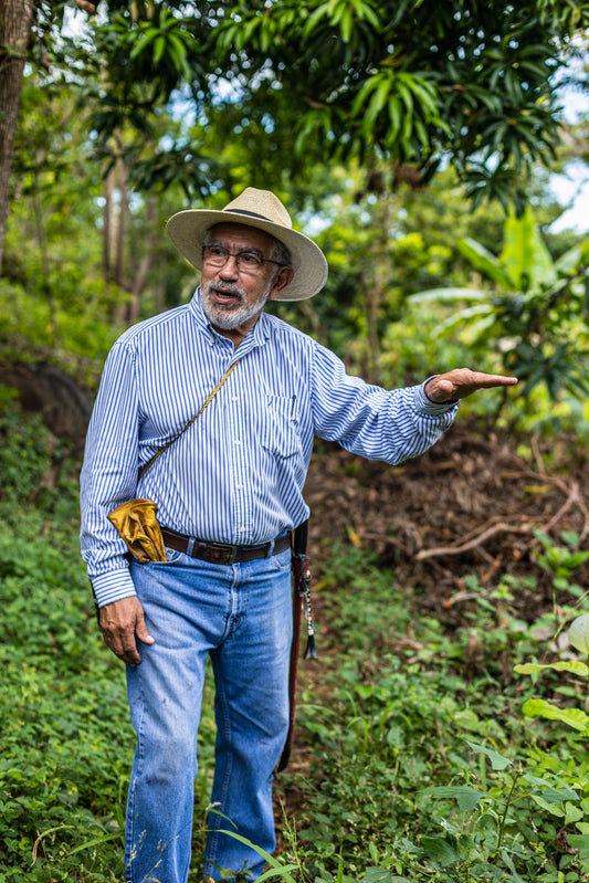 Cacao de Grade Cérémoniel - Salvador