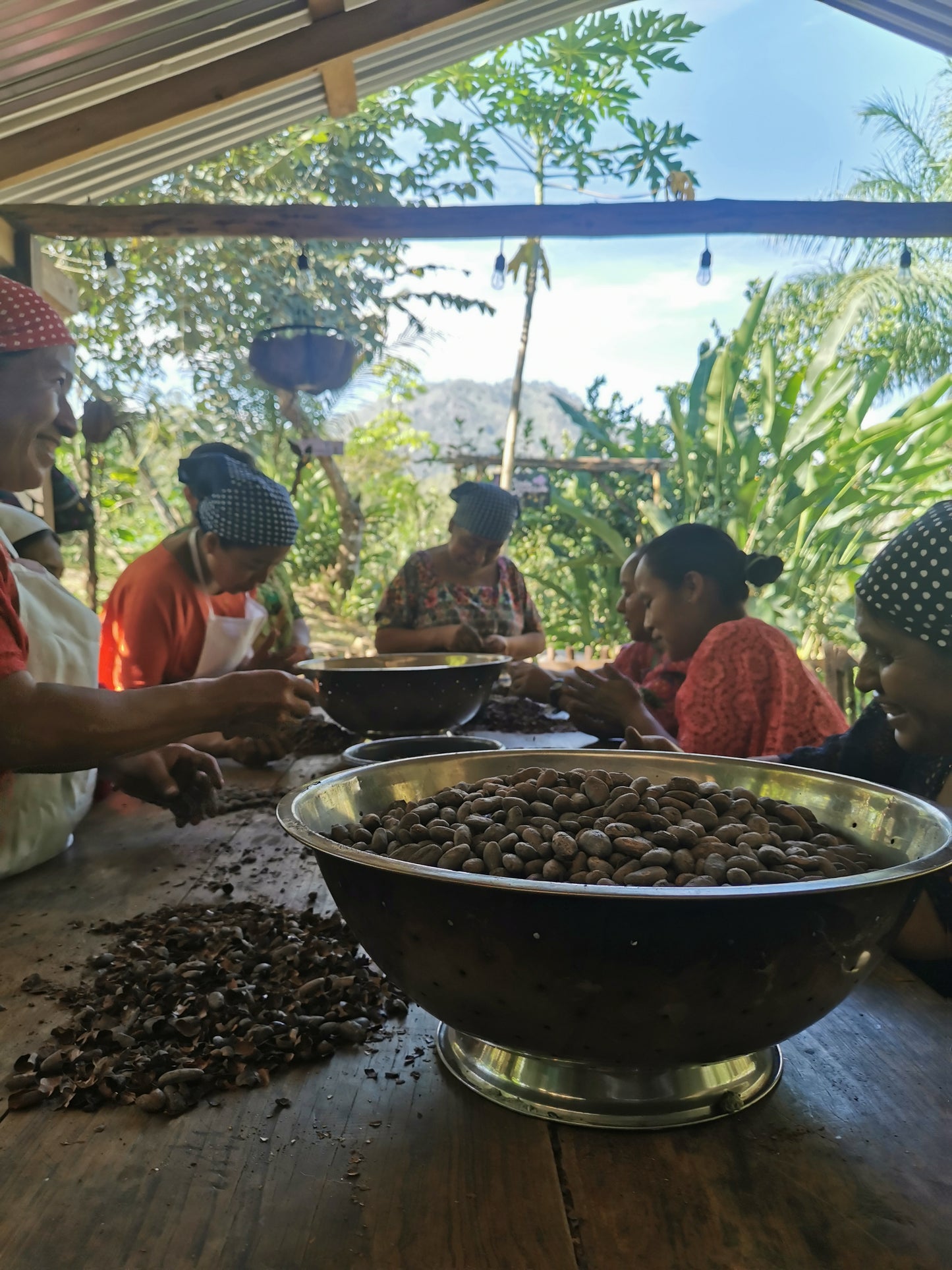 Cacao de Grade Cérémoniel - Ullulaw Cacao Guatemala