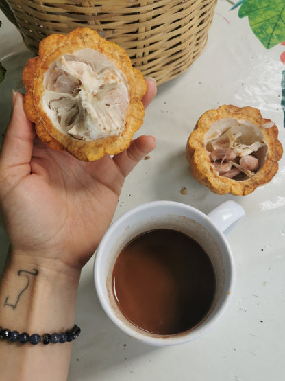 Cacao de Grade Cérémoniel - Pérou "Chuncho"