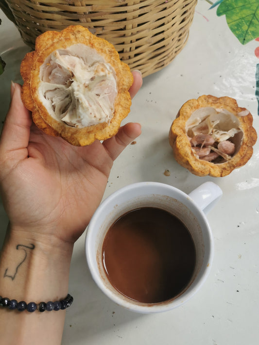 Cacao de Grade Cérémoniel - Pérou "Chuncho"