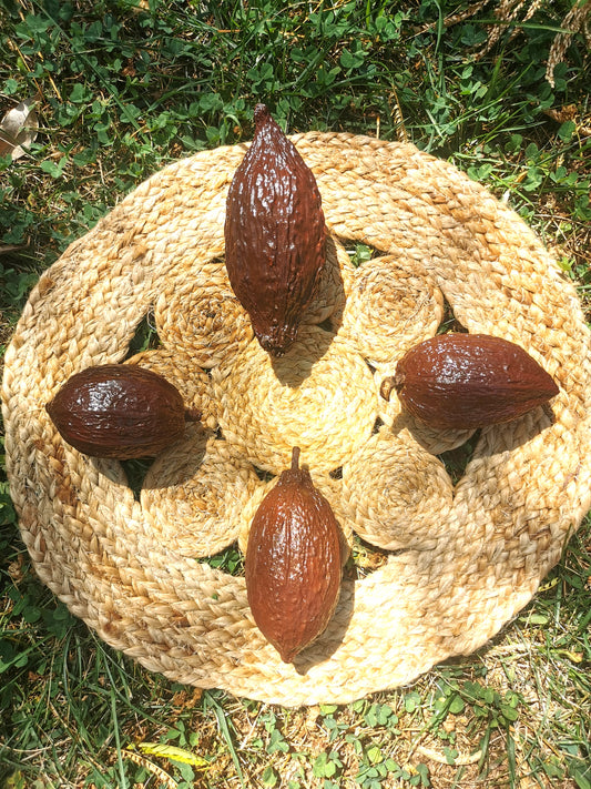 Cabosse