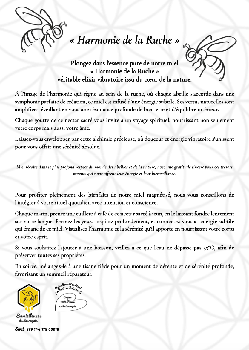 Présentation harmonie de la ruche