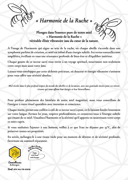 Présentation harmonie de la ruche