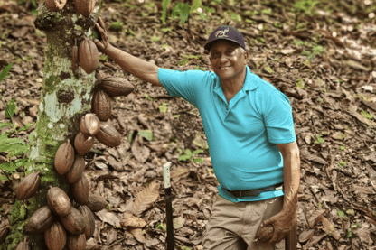 Cacao de Grade Cérémoniel - République Dominicaine